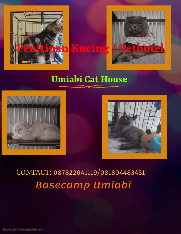 penitipan Kucing