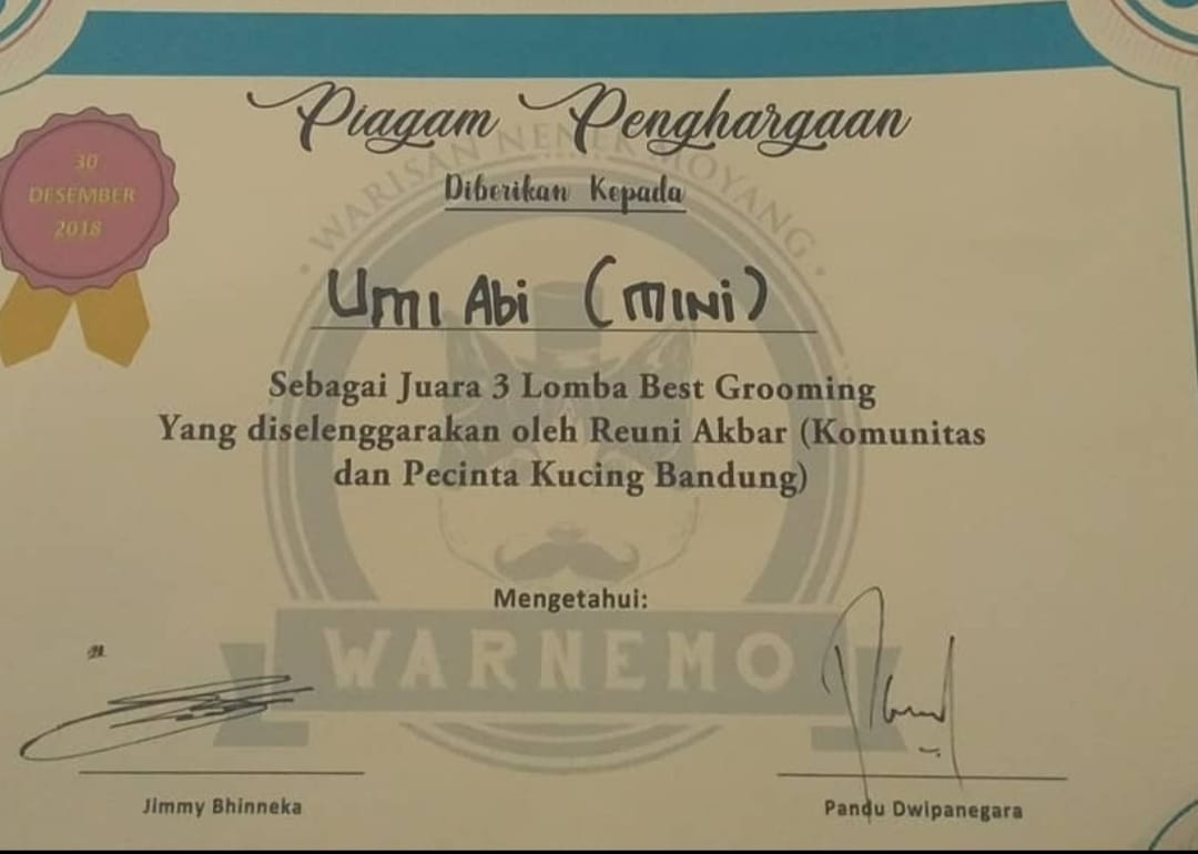 piagam penghargaan umi cat houser